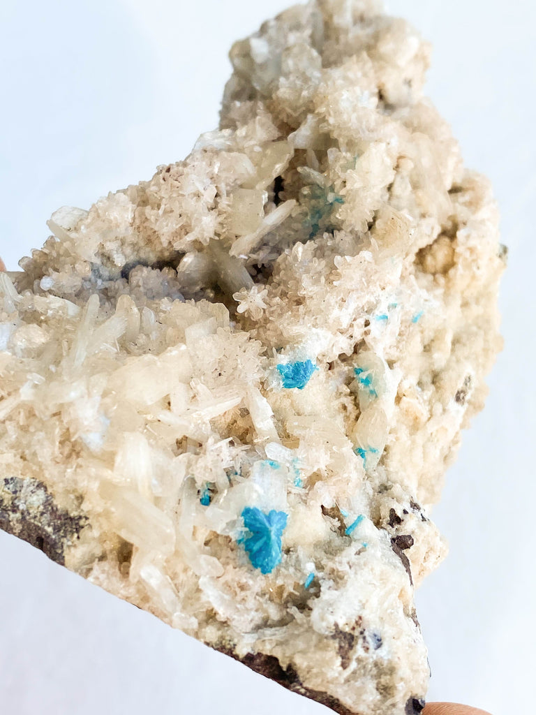 Cavansite Specimen - Unearthed Crystals