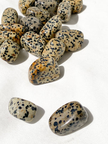 Dalmatian Jasper Tumbles | Small - Unearthed Crystals