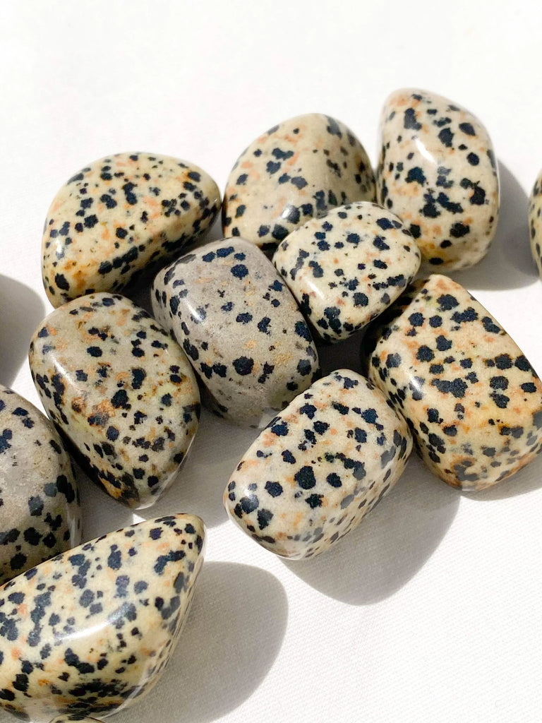 Dalmatian Jasper Tumbles | Small - Unearthed Crystals