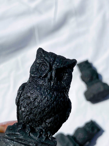 Shungite Owl Carving | "Professor Hoot" - Unearthed Crystals