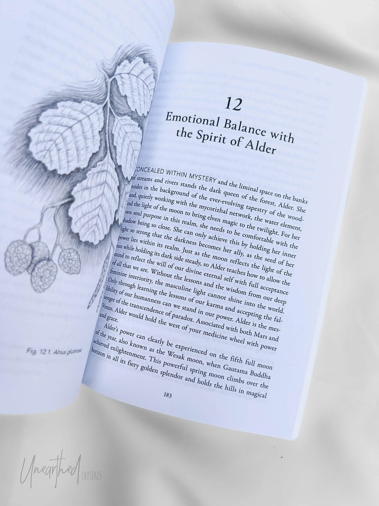 Journeys with Plant Spirits - Unearthed Crystals