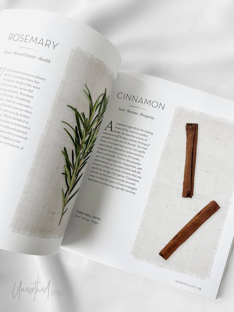 Sacred Herb Bundles For Energy Cleansing - Unearthed Crystals