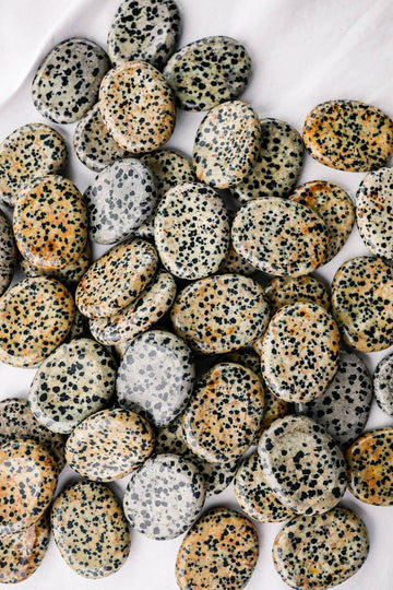 Dalmatian Jasper Worry Stone - Unearthed Crystals