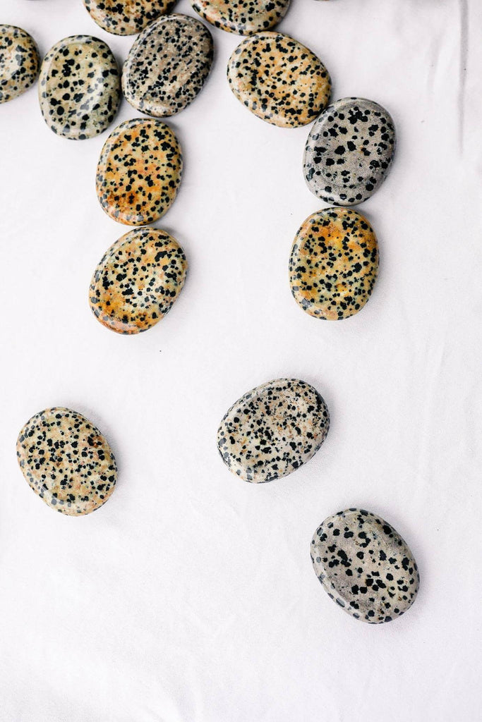 Dalmatian Jasper Worry Stone - Unearthed Crystals