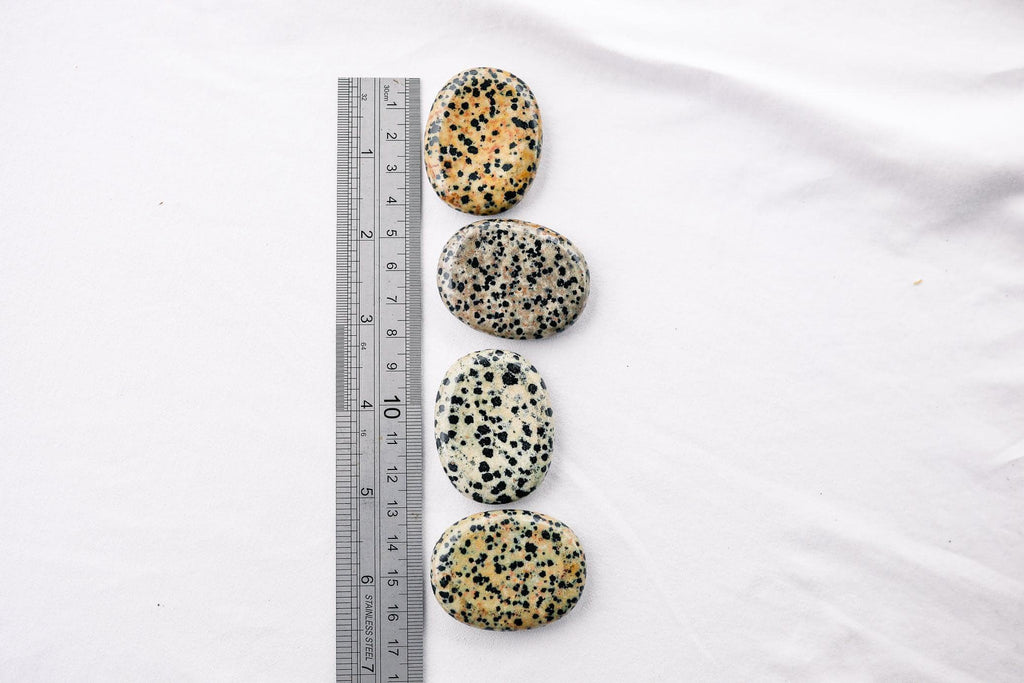 Dalmatian Jasper Worry Stone - Unearthed Crystals