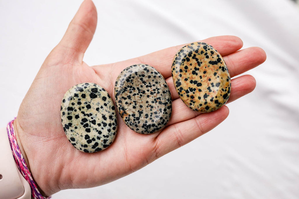 Dalmatian Jasper Worry Stone - Unearthed Crystals